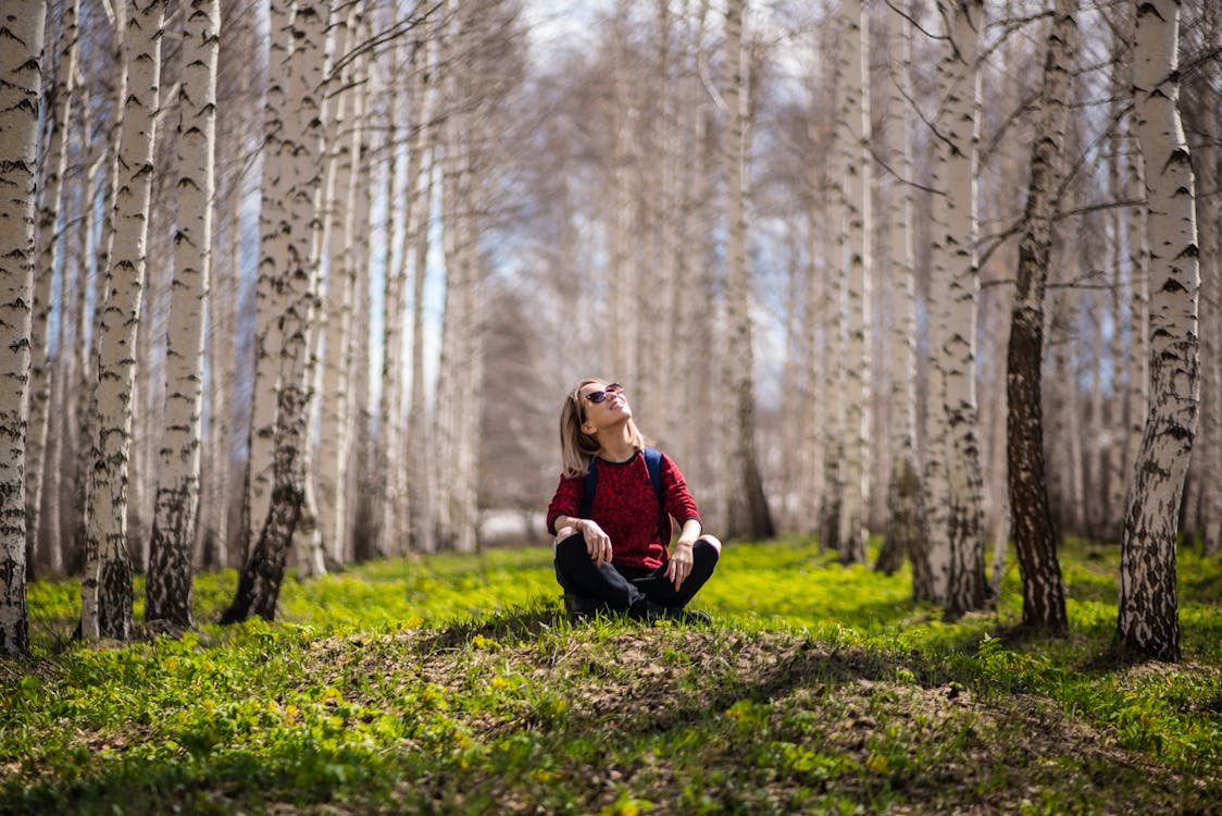 Free Woman Sitting Between Brown Trees Stock Photo